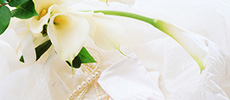 Bridal Plan